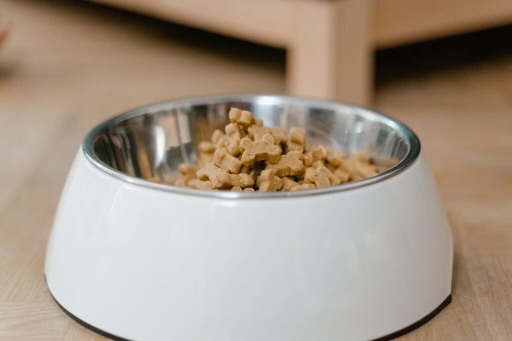 A stainless steel dog bowl filled with dry dog treats on a wooden floor